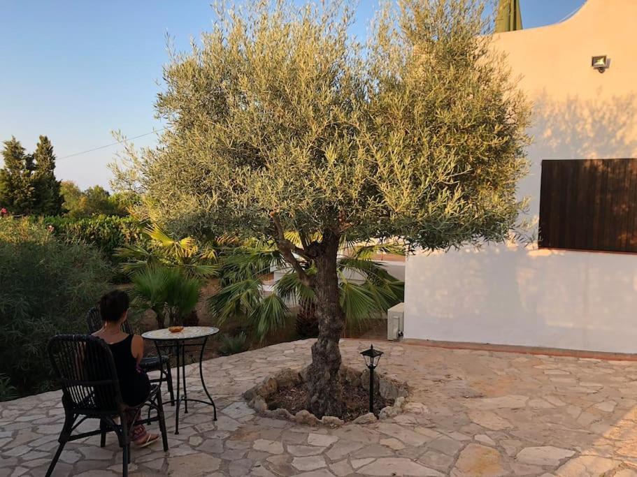 Casa En Ibiza Con Vistas Increibles En Es Figueral Villa Eksteriør billede